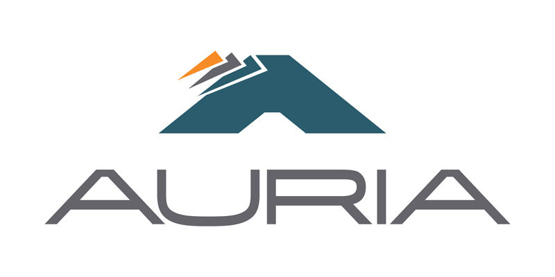 AURIA SOLUTIONS BELGIUM